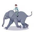 Man riding an elephant, cartoon illustration, white background Royalty Free Stock Photo